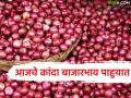 Kanda Market : अकोले, जुन्नर-ओतूर मार्केटमध्ये उन्हाळ कांद्याची आवक, आज काय दर मिळाले? - Marathi News | Latest News Summer onion arrival in Akole, Junnar-Otur markets, what was the price received today? | Latest agriculture News at Lokmat.com