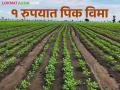 Kharif Pikvima यंदाच्या खरीपसाठीही मिळणार एक रुपयात पिक विमा - Marathi News | Kharif Pik Vima: crop insurance will be available for this year's kharif for one rupee | Latest agriculture News at Lokmat.com