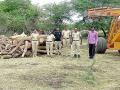 दोन लाखांचे अवैध लाकूड जप्त - Marathi News | Two lakh illegal timber seized | Latest amravati News at Lokmat.com