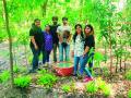 मेरीच्या जंगलात मोरांची भागतेय तृष्णा... - Marathi News |  Thirty-three peas in the forest of Marie ... | Latest nashik News at Lokmat.com