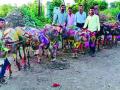 अमरावती जिल्ह्यात साजरा झाला ट्रॅक्टर आणि गाढवांचा पोळा - Marathi News | Amarnath district celebrated tractor and donkeys POLA | Latest amravati News at Lokmat.com