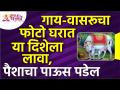 घरामध्ये कोणत्या दिशेला गाय आणि वासरूचा फोटो लावल्यावर पैशांचा पाऊस पडेल? Vastushastra tips for home - Marathi News | In which direction will a rain of money fall when a photo of a cow and a calf is posted in the house? Vastushastra tips for home | Latest bhakti Videos at Lokmat.com