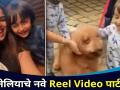 जेनेलियाचे नवे Reel Video पार्टनर | Genelia D'souza With Sons Rahyl And Riaan | Lokmat CNX Filmy - Marathi News | Genelia's New Reel Video Partner | Genelia D'souza With Sons Rahyl And Riaan | Lokmat CNX Filmy | Latest filmy Videos at Lokmat.com