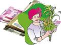 Good News; शेतकºयांनो...पीक कर्ज हवं असेल तर ही बातमी नक्की वाचा...! - Marathi News | Good News; Farmers ... if you want crop loan, definitely read this news ...! | Latest solapur News at Lokmat.com