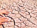 दुष्काळाची चाहूल, शेतकरी धास्तावला - Marathi News | Due to drought, farmer fears | Latest amravati News at Lokmat.com