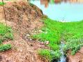 तुमसर नगर परिषदेचे स्वच्छतेकडे दुर्लक्ष - Marathi News | Tumsar Municipal Council neglects cleanliness | Latest bhandara News at Lokmat.com