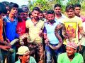 वर्षभरात १५० सापांना जीवनदान - Marathi News | 150 live life spell of snakes | Latest bhandara News at Lokmat.com