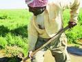 शेतकरी कर्जमाफी ठरतेय डोकेदुखी - Marathi News | Farmer debt forgiveness leads to headache | Latest chandrapur News at Lokmat.com