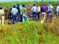 वीज तारेचे कुंपण ठरतेय वाघांसाठी ‘काळ’ - Marathi News | The 'blacks' for the tiger | Latest chandrapur News at Lokmat.com