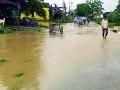 अन् विद्यार्थी शाळेत पोहोचलेच नाही - Marathi News | And the student has not reached the school | Latest chandrapur News at Lokmat.com