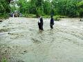 पाच तालुक्यांमध्ये अतिवृष्टी - Marathi News | Heavy rain in five talukas | Latest gadchiroli News at Lokmat.com