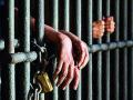 जनावरांचे मांस वाहतूक करणारा टेम्पो पकडला - Marathi News | Caught a meathopper tempo | Latest nashik News at Lokmat.com