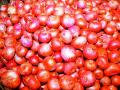 केंद्र सरकारने कांदा खरेदी करावी - Marathi News | The central government should buy onions | Latest nashik News at Lokmat.com