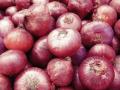 काय सांगताय...कांदा फक्त ३० रुपये किलो - Marathi News |  What are you saying... only 30 rupees onion per kg | Latest nashik News at Lokmat.com