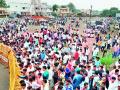 जिल्ह्यात ग्रामपंचायतीत संमिश्र कौल - Marathi News | Gram panchayat Samiti Kaul in the district | Latest nashik News at Lokmat.com