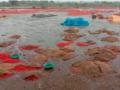 मिरची पथारींना आले तलावाचे स्वरूप - Marathi News | The appearance of the lake came to the chilli beds | Latest nandurbar News at Lokmat.com