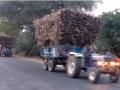 ऊस वाहतूकीचा डोक्याला ताप सुरक्षेविनाच वाहतूक करतात रे बाप - Marathi News | Sugarcane transporters transport their heads without heat protection | Latest nandurbar News at Lokmat.com
