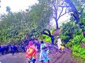 सिन्नर -ठाणगाव रस्त्यावर झाड पडल्याने वाहतूक ठप्प - Marathi News | Traffic jam due to tree fell on Sinnar -Thangaon road | Latest nashik News at Lokmat.com