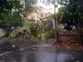 पावसाच्या सरी कोसळताच वीज विस्कळीत - Marathi News | Power disruption only after the rain fall | Latest nashik News at Lokmat.com