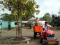 परभणी : टँकरच्या सहाय्याने झाडांना पाणीपुरवठा - Marathi News | Parbhani: Water supply to the trees through tankers | Latest parabhani News at Lokmat.com