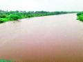 निफाड परिसराला पावसाने झोडपले - Marathi News | The Niphad area was overwhelmed by rain | Latest nashik News at Lokmat.com