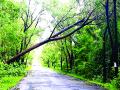 मांडुकलीतील रस्त्यावरील पाणी ओसरले; कोल्हापूर मार्ग सुरू - Marathi News | Road water in Mandukali flowed; Starting from Kolhapur Road | Latest sindhudurga News at Lokmat.com