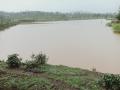 सुरगाणा तालुक्यात पाऊसाचे प्रमाण कमी - Marathi News | Rainfall is low in Surgana taluka | Latest nashik News at Lokmat.com