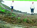 कालव्याच्या खोदकामामुळे बुडाले पीक - Marathi News | Drop off crops due to canal excavation | Latest vardha News at Lokmat.com