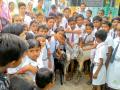 वाहितपूर शाळेला लोकसहभागांतर्गत शेळी भेट - Marathi News | Visakhpur school visits the goat under the people's association | Latest vardha News at Lokmat.com