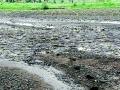 संततधार पावसाने शेकडो हेक्टर शेती पाण्याखाली - Marathi News | Hundreds of hectares of irrigated farm under irrigated rain | Latest yavatmal News at Lokmat.com