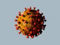 CoronaVirus in Nagpur : ४६५ कोरोना पॉझिटिव्ह, ९ मृत्यू - Marathi News | Corona virus in Nagpur: 465 corona positive, 9 deaths | Latest nagpur News at Lokmat.com