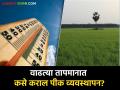 तापमानाचा पारा वाढलाय, मराठवाड्यातील शेतकऱ्यांनी पिकांचे कसे कराल व्यवस्थापन ? - Marathi News | | Latest agriculture News at Lokmat.com