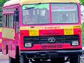 एसटी बस धावताहेत रिकाम्या - Marathi News | ST buses are running empty | Latest amravati News at Lokmat.com