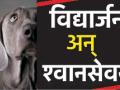 'कुत्ता खाने की पुलिस कम्प्लेंट की थी क्या?' - Marathi News | 'What was the police complaint of dog eating?' | Latest amravati News at Lokmat.com