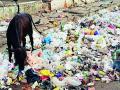 बंदीनंतरही सर्वत्र प्लास्टिक पिशव्यांचा वापर - Marathi News | Use plastic bags everywhere even after the ban | Latest bhandara News at Lokmat.com