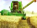 हार्वेस्टर यंत्राने लोप पावली बैलबंडीची मळणी - Marathi News | Harvester system disappears | Latest chandrapur News at Lokmat.com