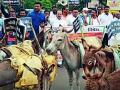 गाढवाची धिंड काढून शासनाचा निषेध - Marathi News | The government's protest against the removal of an ass | Latest chandrapur News at Lokmat.com