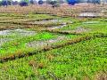 बांधकामाकरिता सोडले चक्क तलावाचे पाणी - Marathi News | Pond water left for construction | Latest chandrapur News at Lokmat.com