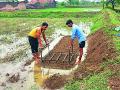 सगुणा धान लागवडीचे प्रात्यक्षिक - Marathi News | Saguna paddy cultivation demonstration | Latest gadchiroli News at Lokmat.com
