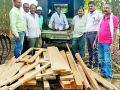 ४९ लाकूड पाट्या जप्त - Marathi News | 49 wooden plates seized | Latest gadchiroli News at Lokmat.com