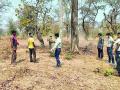 वनवे थांबविण्यासाठी वनविभागाची नाविण्यपूर्ण उपाययाेजना - Marathi News | Innovative measures of forest department to stop one way | Latest gadchiroli News at Lokmat.com
