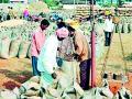 जिल्ह्यात धान खरेदीला ‘फुलस्टॉप’ - Marathi News | 'Full stop' for paddy procurement in the district | Latest gondia News at Lokmat.com