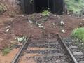 कसारा घाटात रेल्वे रुळावर मातीचा ढिगारा - Marathi News |  Soil debris on the railway track in Kasara Ghat | Latest nashik News at Lokmat.com