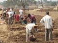 साडेचार हजार मजूर मनरेगाच्या कामावर - Marathi News | Four and a half thousand laborers worked on MGNREGA | Latest jalana News at Lokmat.com