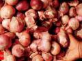 नाफेडने ३० रुपये किलो प्रमाणे कांदा खरेदी करावा - Marathi News | NAFED should buy onion at Rs. 30 per kg | Latest nashik News at Lokmat.com