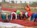 दोन कोटीपेक्षा अधीकचे नुकसान - Marathi News | Loss of more than two crores | Latest nandurbar News at Lokmat.com