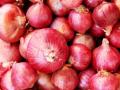 यंदा कांदा उत्पादन घटण्याची चिन्हे - Marathi News |  Signs of decline in onion production this year | Latest nashik News at Lokmat.com