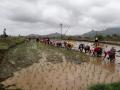 त्र्यंबकेश्वरला भात आवणी सुरू - Marathi News | Trimbakeshwar started the Rath Yatra | Latest nashik News at Lokmat.com