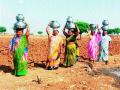 पाण्यासाठी भटकंती - Marathi News | Wandering water | Latest nashik News at Lokmat.com