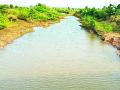 दारव्हा तालुक्यात दमदार पाऊस - Marathi News | Rainfall in Darwa taluka | Latest yavatmal News at Lokmat.com